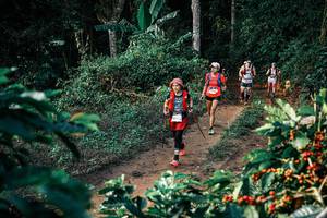 BIB: 
                            <button type="button" onclick="openModal(25826976)" class="btn btn-primary btn-sm float-right btn-popup" data-toggle="modal" data-target=".modal-high-quality">
                        <i class="fas fa-shopping-cart"></i> Add to Cart
                    </button>
                                            <button type="button" onclick="isThisMe(25826976, true)" class="btn btn-success btn-sm float-right btn-popup btn-isme hidden" data-toggle="tooltip" data-placement="bottom" title="นี่คือรูปของคุณใช่ไหม คลิกที่นี่เพื่อเอาเข้าอัลบั้ม">
                        <i class="fas fa-plus"></i> Add to album
                    </button>
                    <button type="button" onclick="isThisMe(25826976, false)" class="btn btn-warning btn-sm float-right btn-popup btn-isnotme hidden">
                        <i class="fas fa-ban"></i> Remove from album
                    </button>